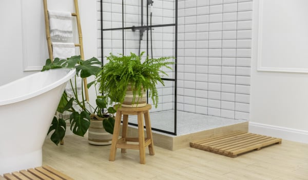 Kwiaty do łazienki — które gatunki wybrać? 